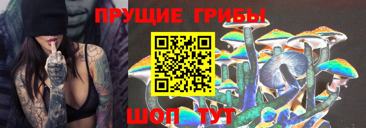 Зеленокумск  Псилоцибиновые грибы мицелий  Галлюциногенные грибы Cubensis  Вход с VPN 